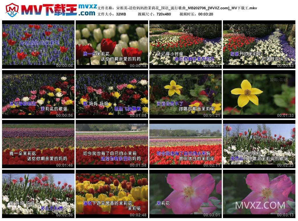 宋祖英-送给妈妈的茉莉花_国语_流行歌曲_MB202706